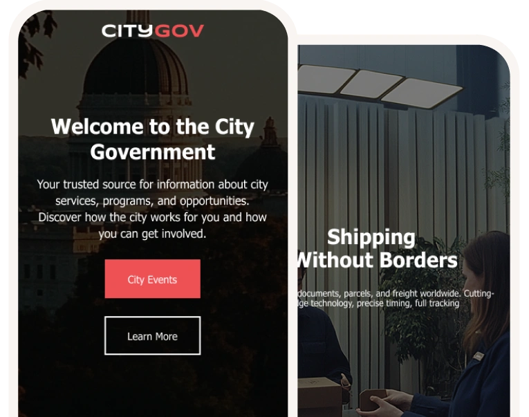 Government